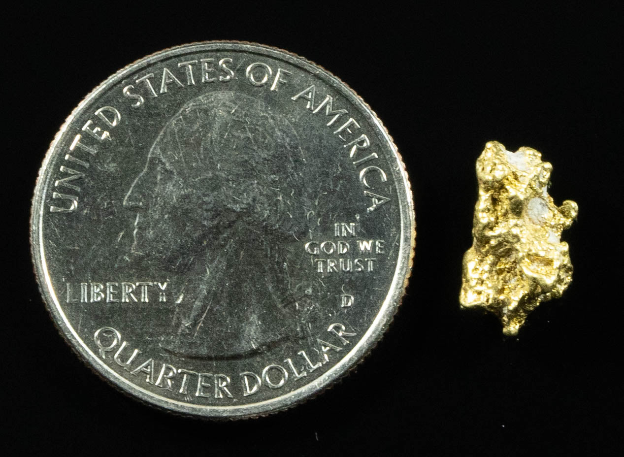 QN-13 "Alaskan BC Gold Nuggets with Quartz" Genuine 1.38 Grams