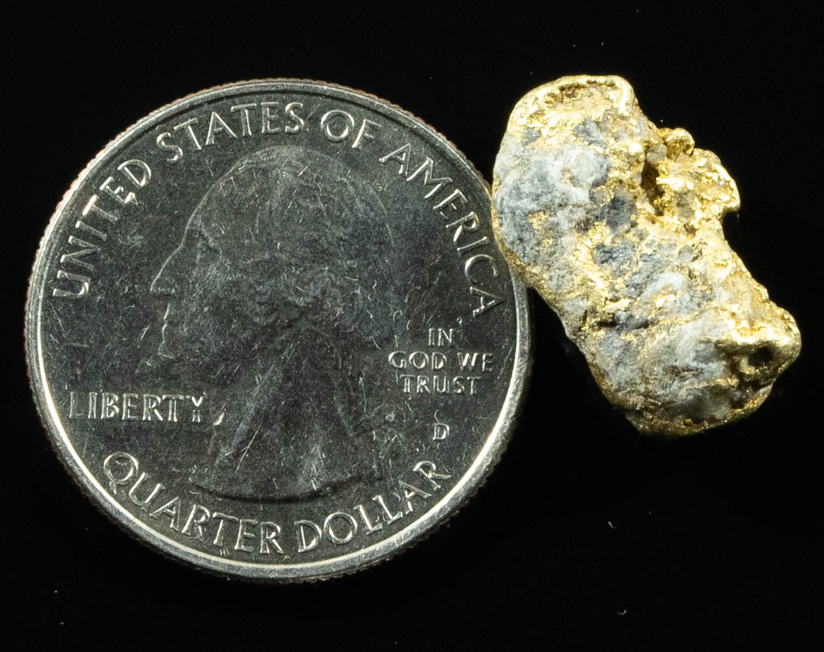 QN-14 "Alaskan BC Gold Nuggets with Quartz" Genuine 4.87 Grams