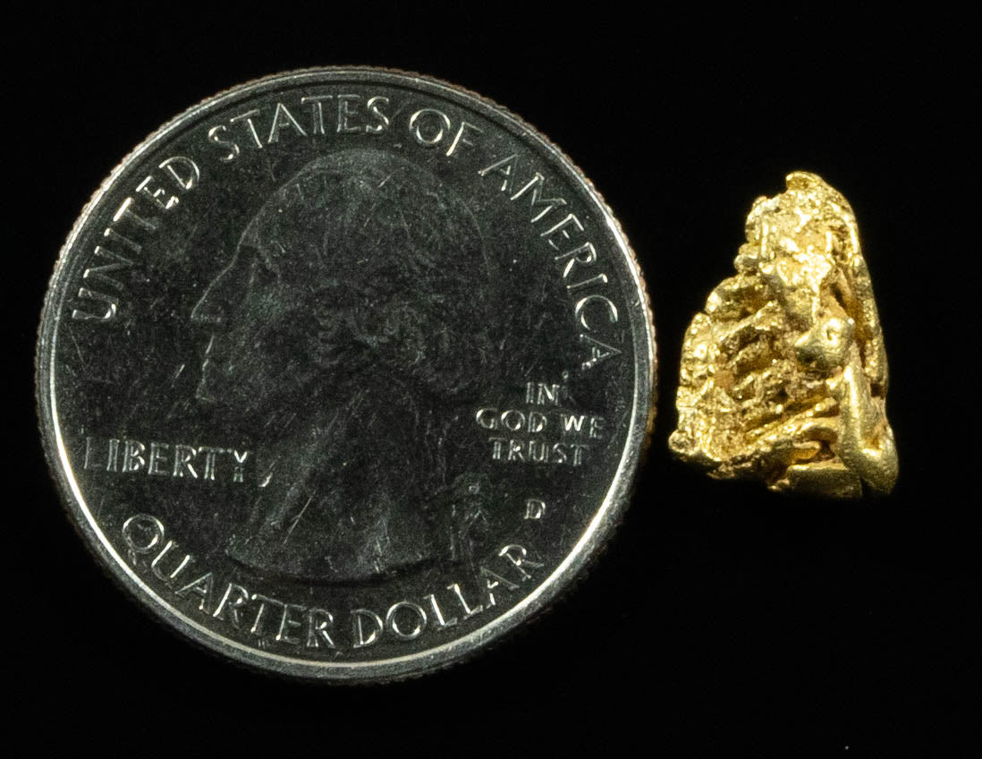 L-40 Alaskan BC Dendritic Exotic Shaped Gold Nugget "Special Collection" 1.99 Grams