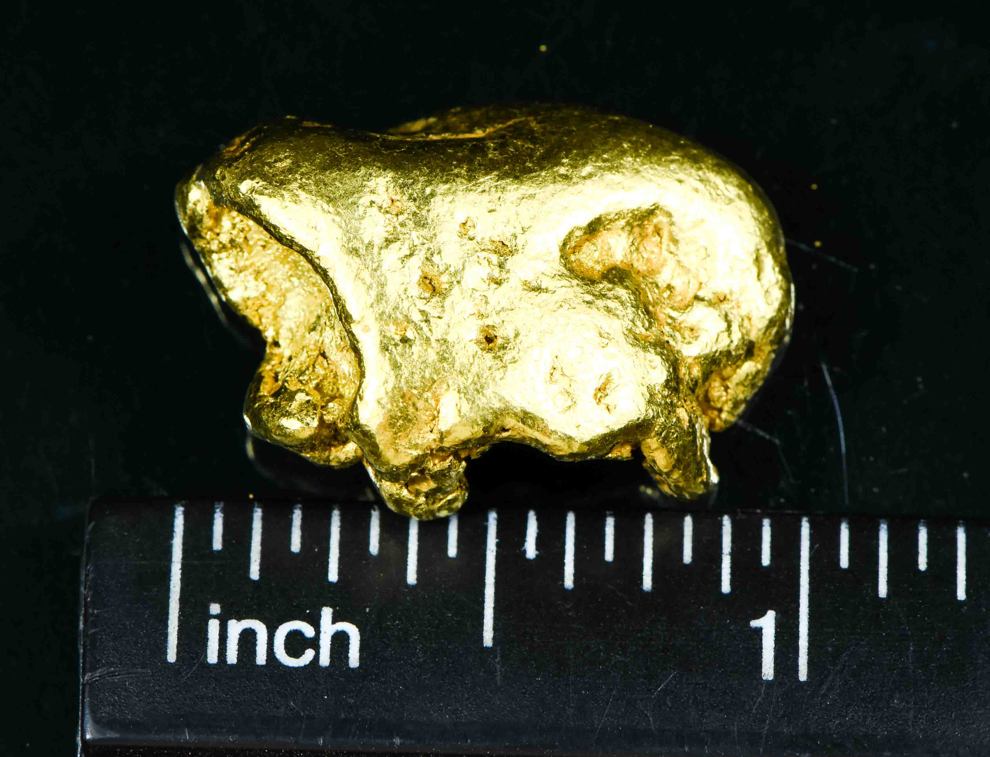 #550 Large Alaskan BC Gold Nugget 23.62 Grams Genuine