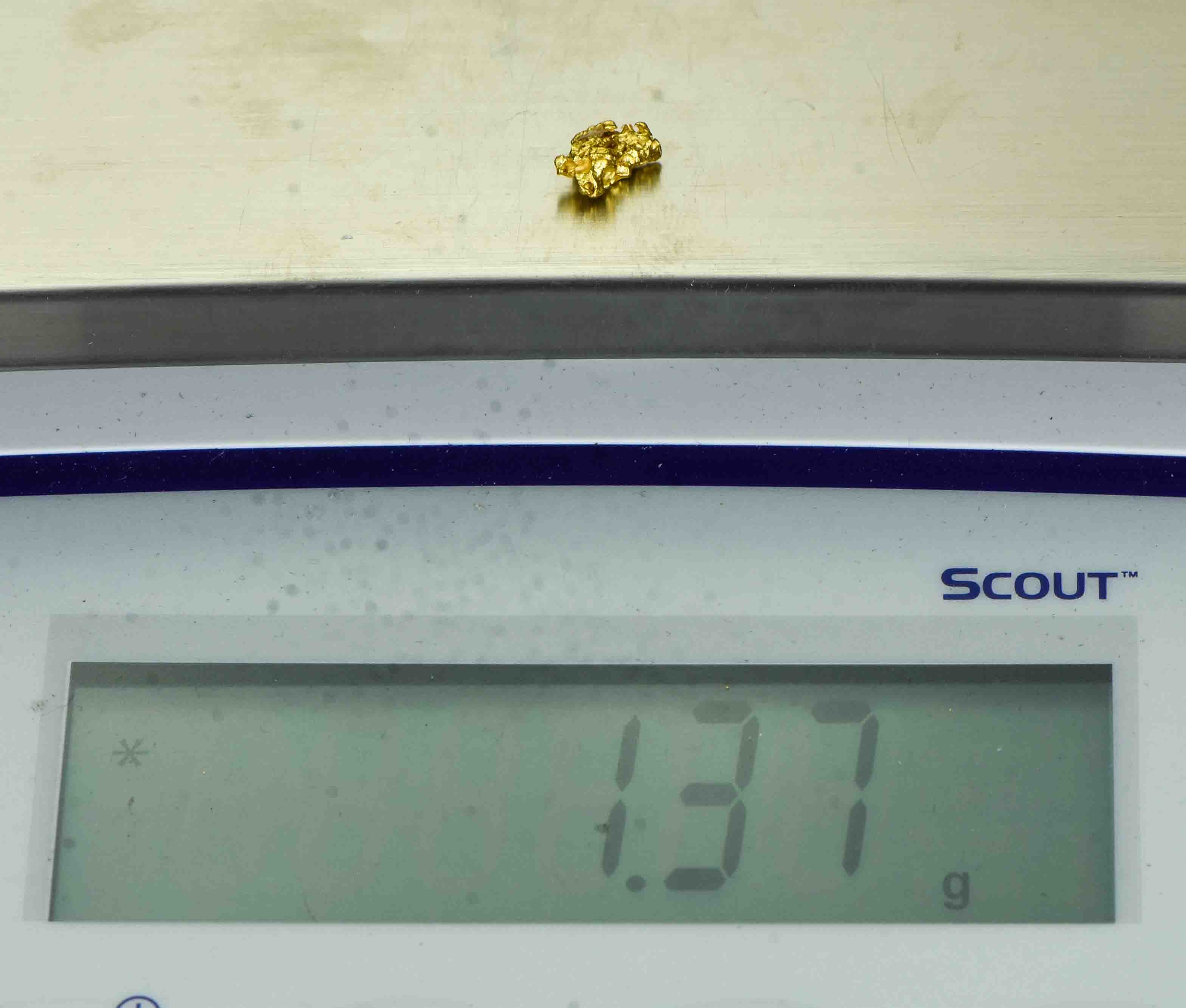 #5 Australian Natural Gold Nugget With Quartz Weighs 1.37 Grams.