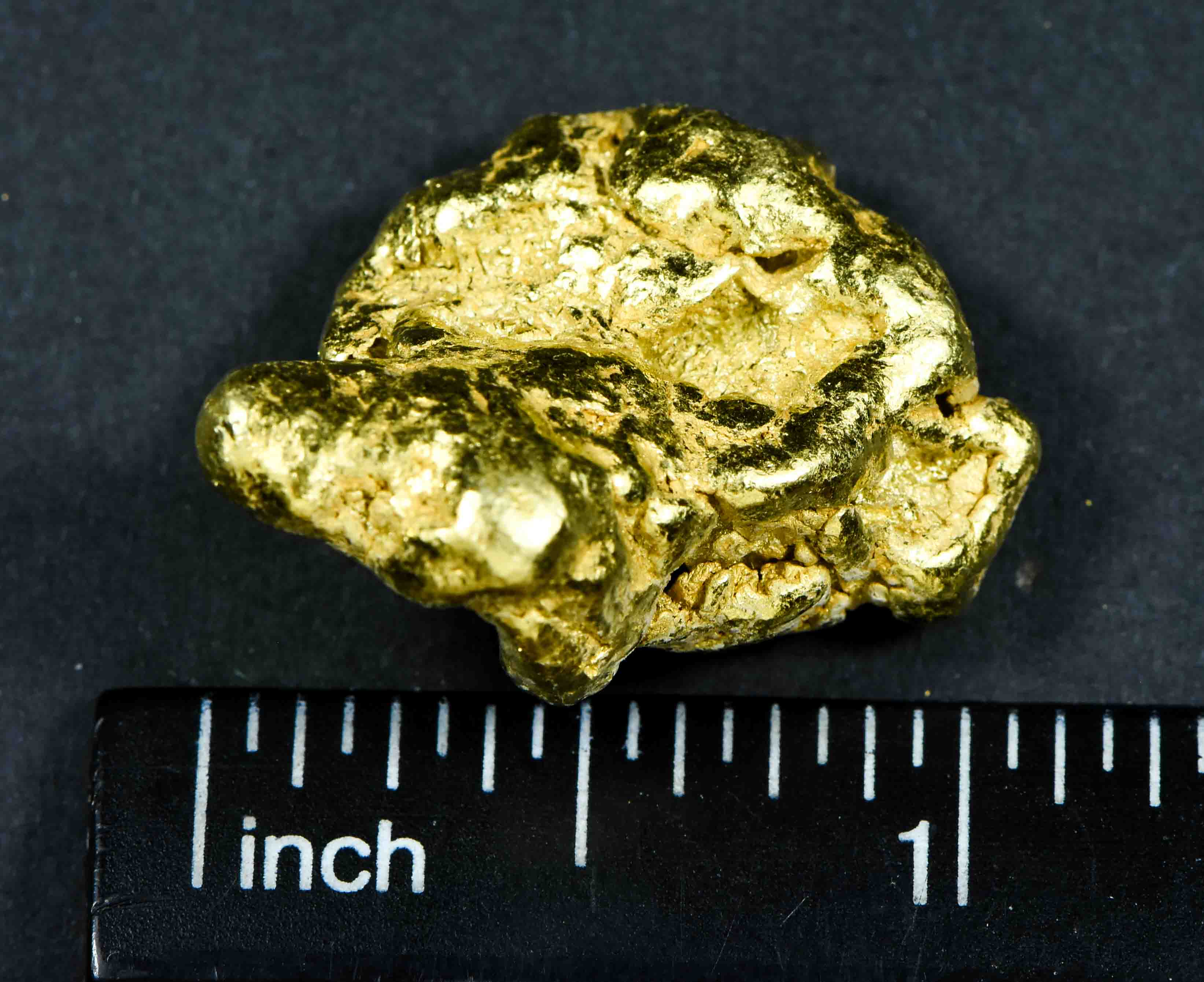 #551 Large Alaskan BC Gold Nugget 28.24 Grams Genuine