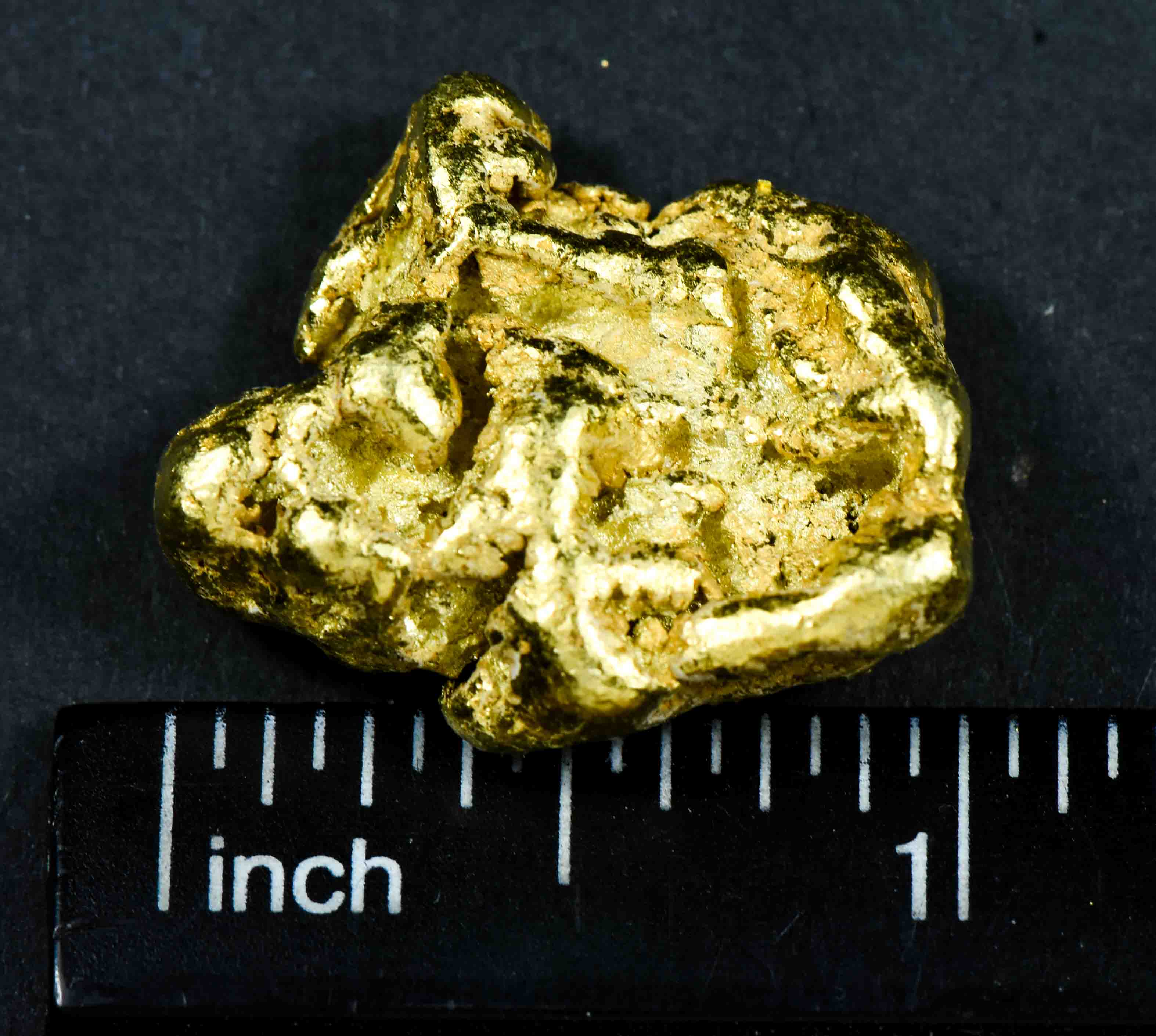 #552 Large Alaskan BC Gold Nugget 22.70 Grams Genuine