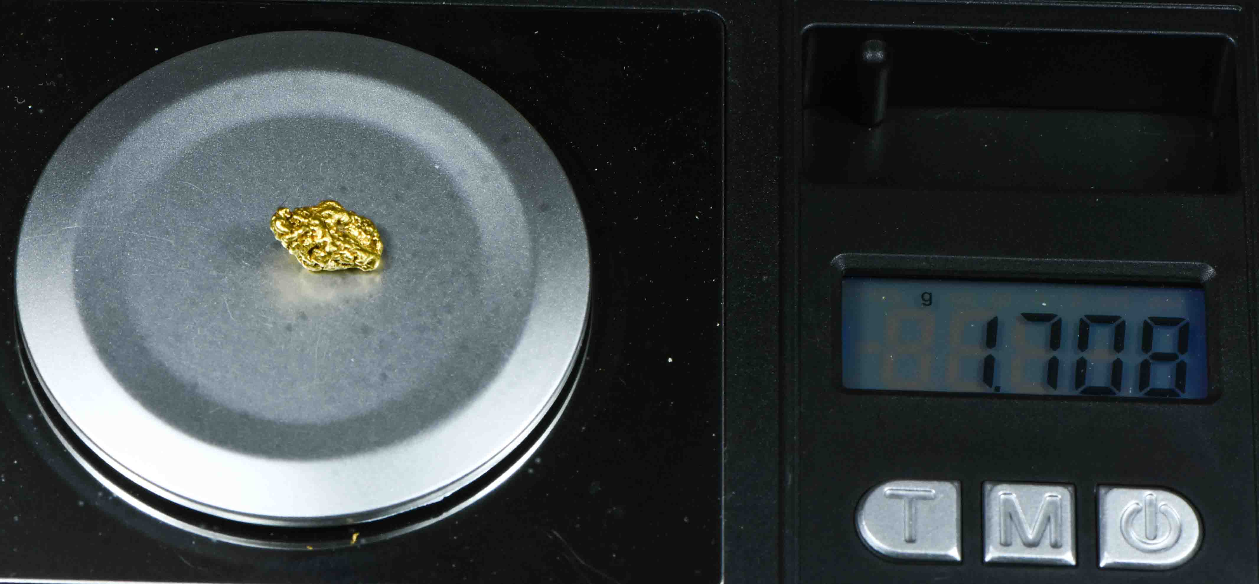 #45 Natural Gold Nugget Montana 1.70 Grams Genuine