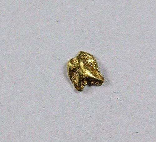 Alaskan-Yukon Bc Gold Rush Natural Nugget 0.26 Grams Genuine Alaska .10-.34