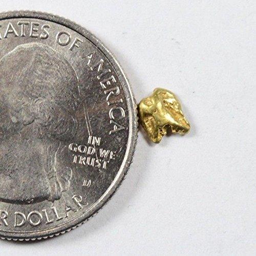 Alaskan-Yukon Bc Gold Rush Natural Nugget 0.26 Grams Genuine Alaska .10-.34