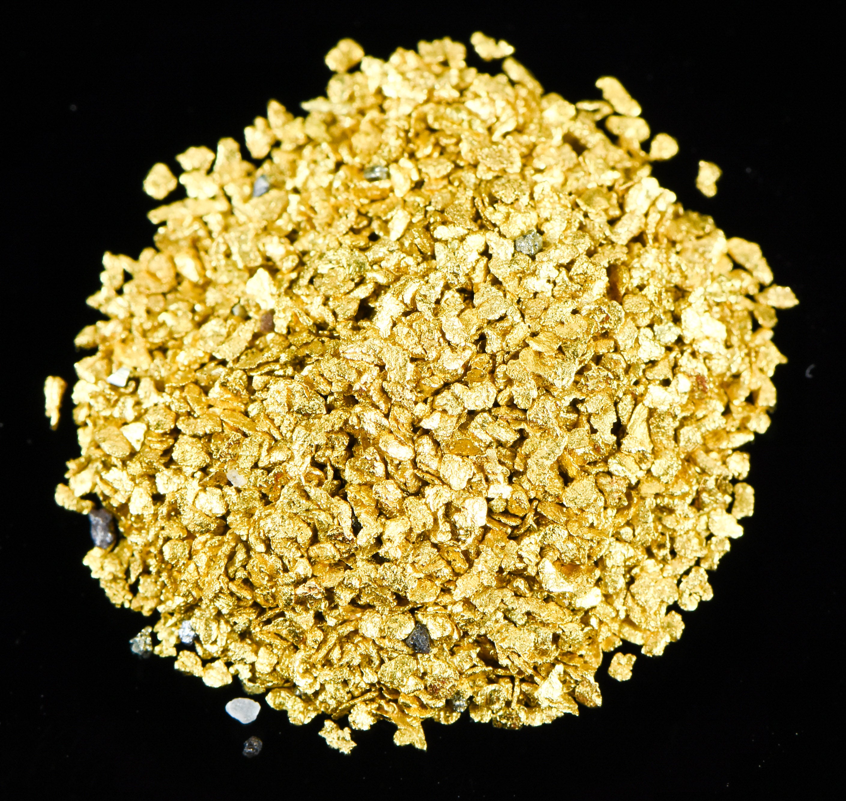 Alaskan Yukon Gold Rush Nuggets #30 Mesh 5 Grams of Super Small Fines