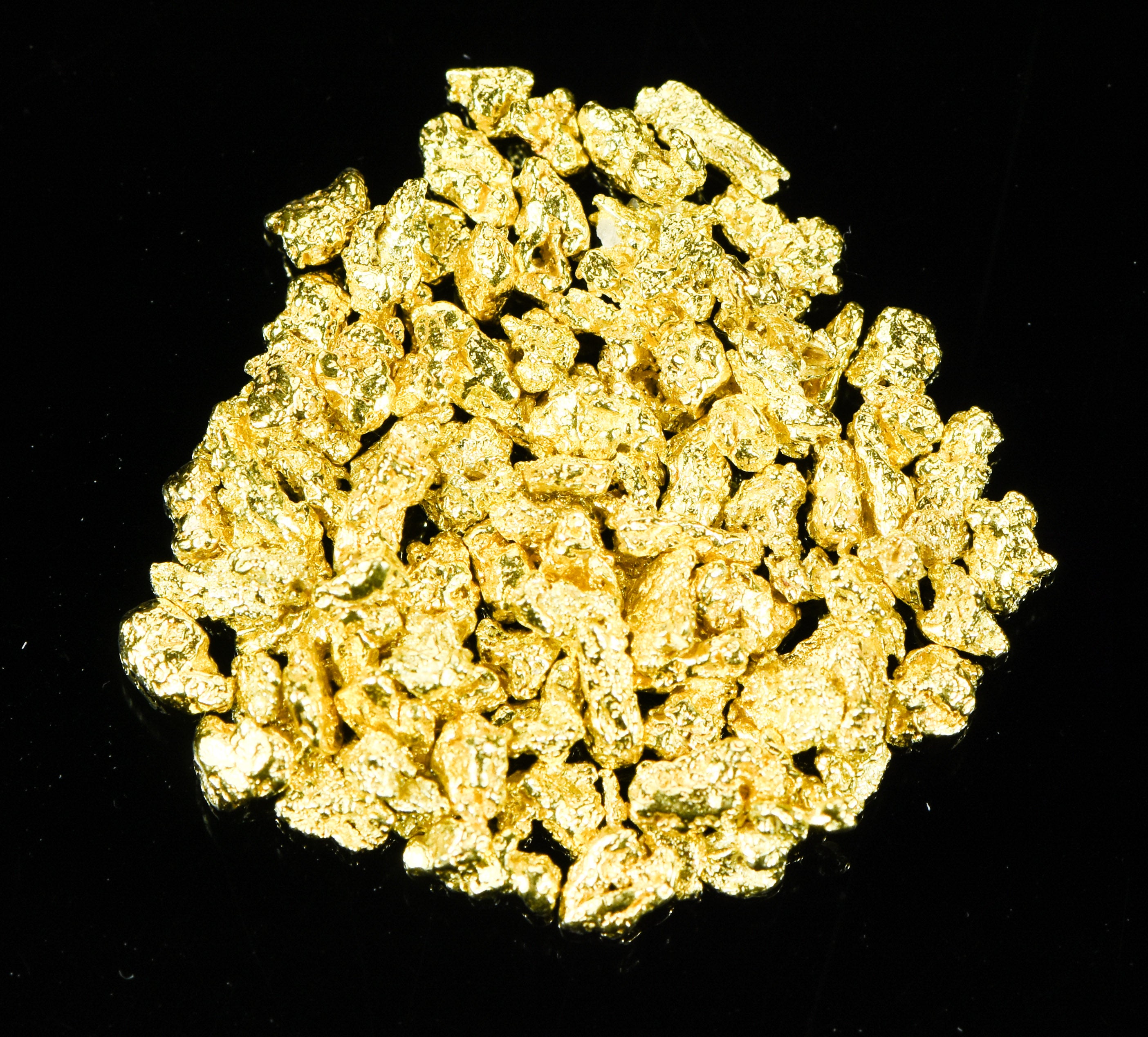 Alaskan Yukon BC Gold Nuggets 12 Mesh 1/4 Troy Oz 7.75 Grams or 5 DWT