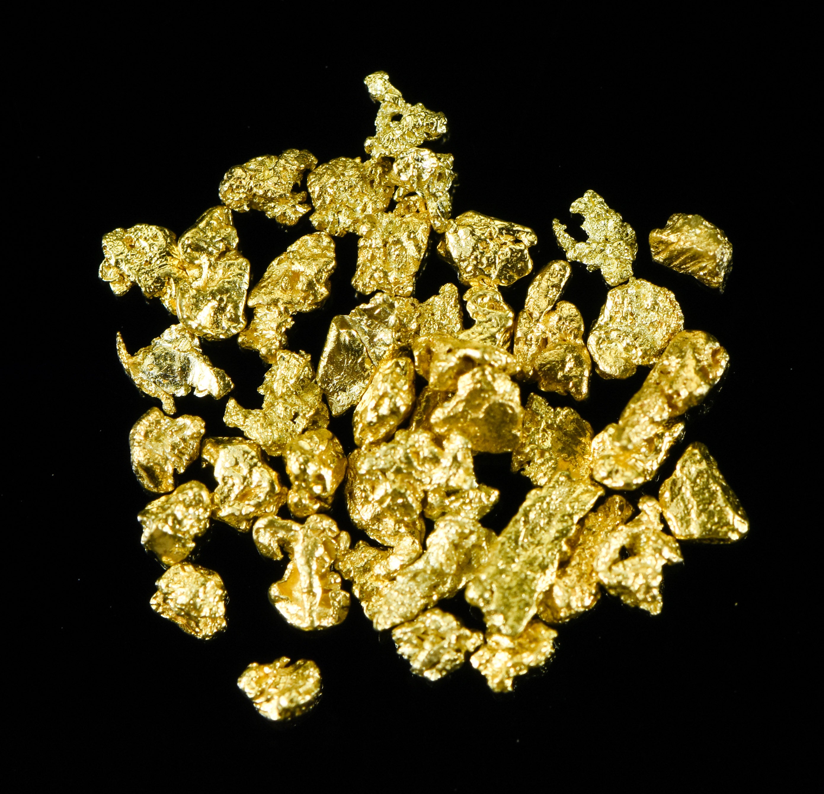 Alaskan Yukon Gold Rush Nuggets 12 Mesh .05 Troy Oz. 1.55 Grams or 1 DWT
