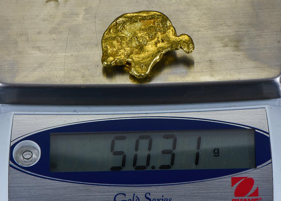 Large Alaskan BC Natural Gold Nugget "The Turtle" 50.31 Grams Genuine 1.61 Troy Ounces